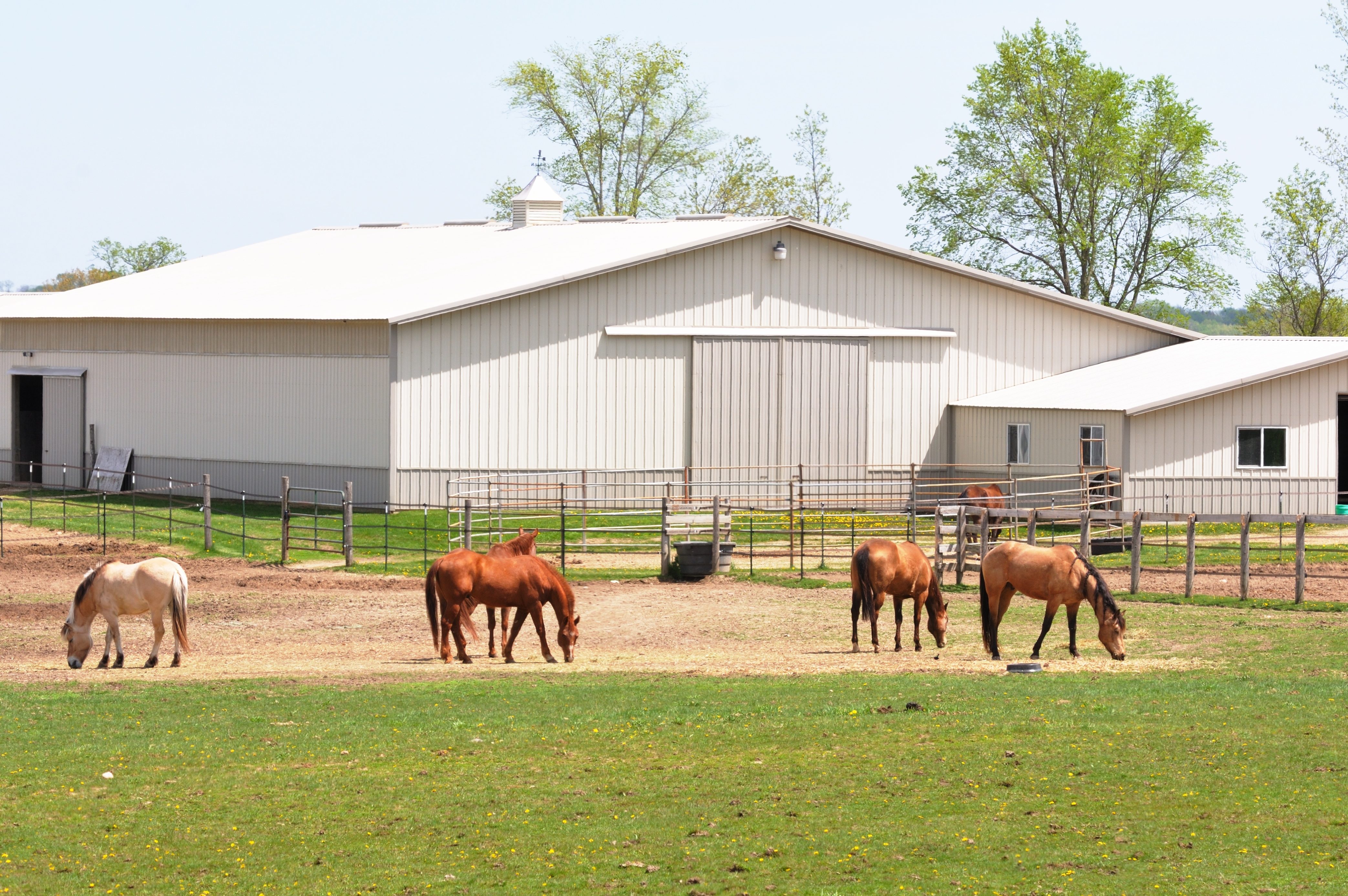 horse farm